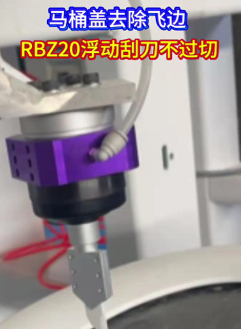 RBZ20浮动刮刀