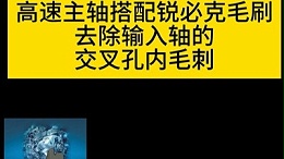 高速主轴搭配锐必克毛刷去除输入轴的交叉孔内毛刺
