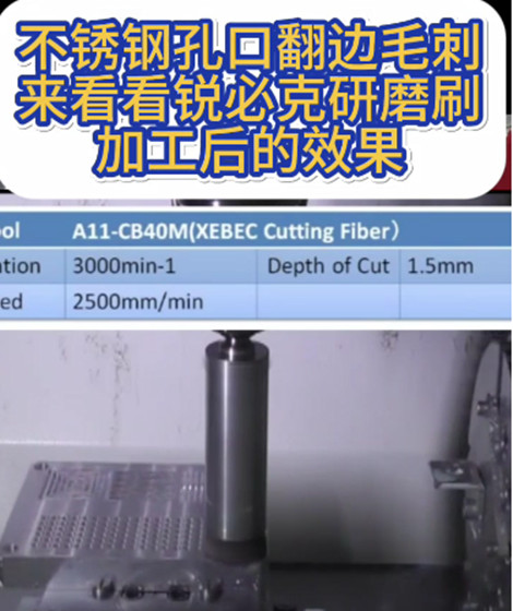 锐必克研磨刷