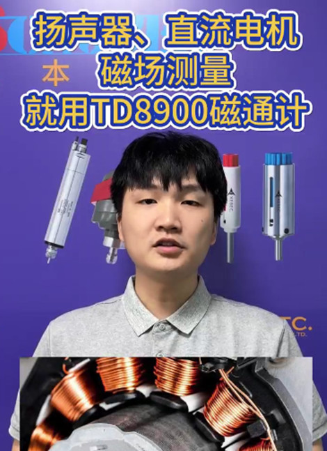 TD8900磁通计