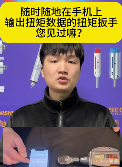 日本东日数显扭矩扳手