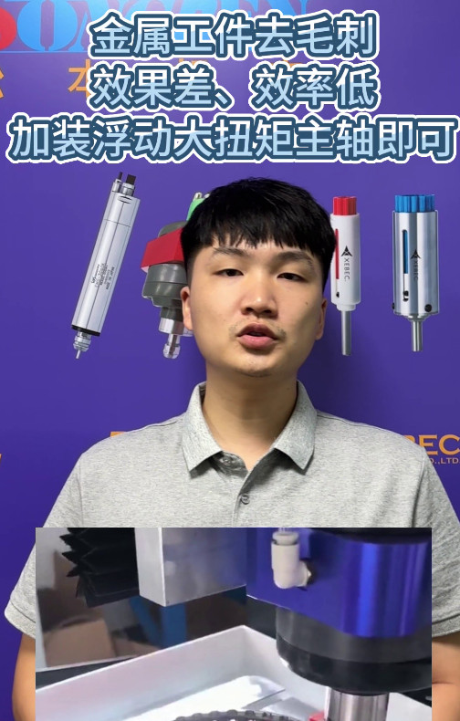 RBZ30浮动主轴