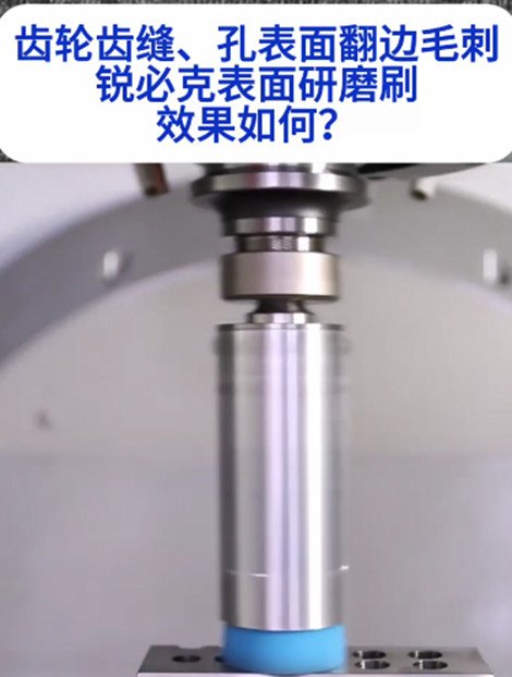 锐必克表面研磨刷