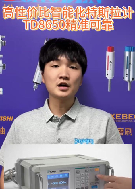 TD8650高斯计