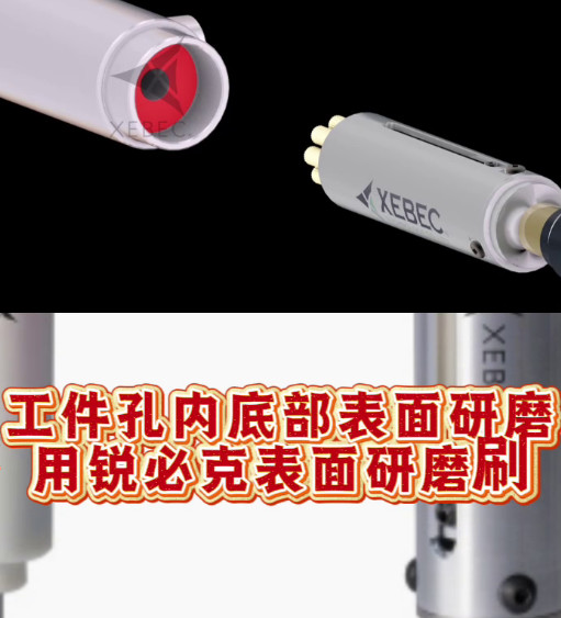 锐必克表面研磨刷