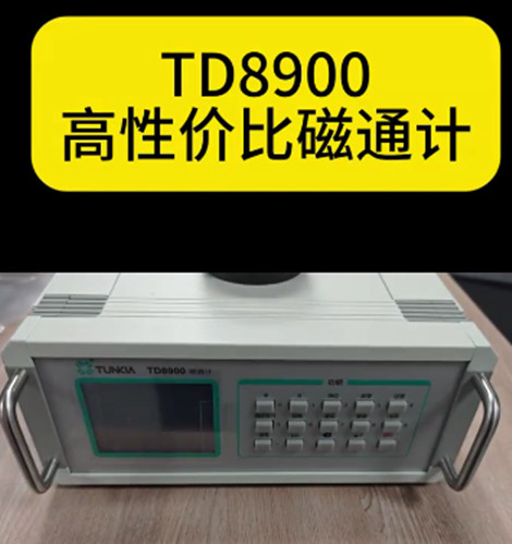 TD8900磁通计