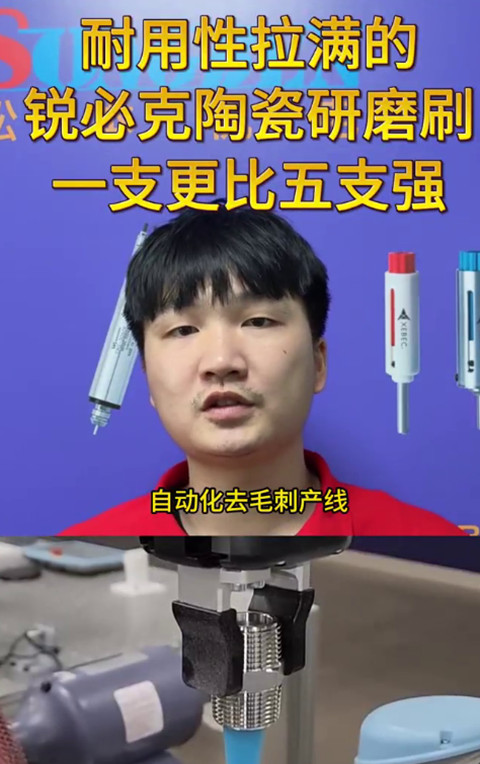 锐必克陶瓷研磨刷