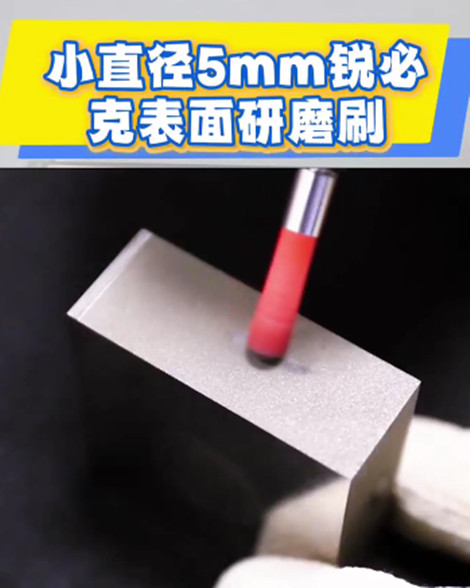 锐必克表面研磨刷