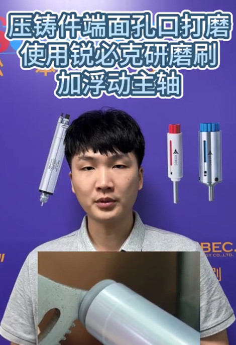 锐必克研磨刷