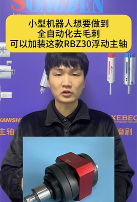 RBZ30浮动主轴