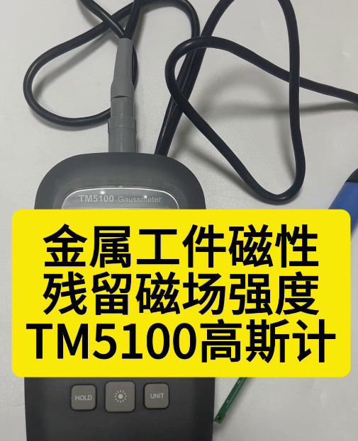 TM5100高斯计