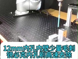 12mm内孔内壁少量毛刺，锐必克内孔刷高速去除