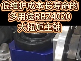 低维护成本长寿命的多用途RBZ4020大扭矩主轴
