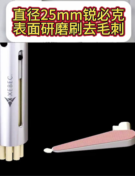 锐必克研磨刷