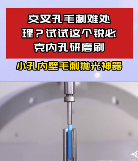 锐必克内孔研磨刷
