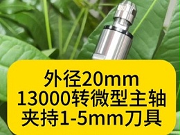 外径20mm13000转RBZ微型主轴夹持1-5mm刀具