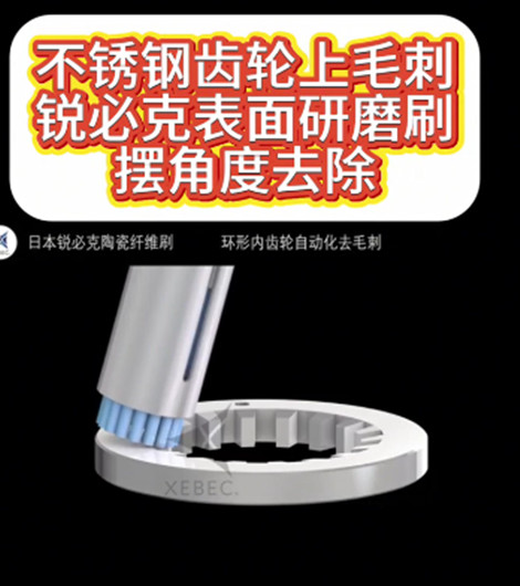 锐必克表面研磨刷