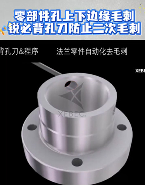 锐必克背孔刀