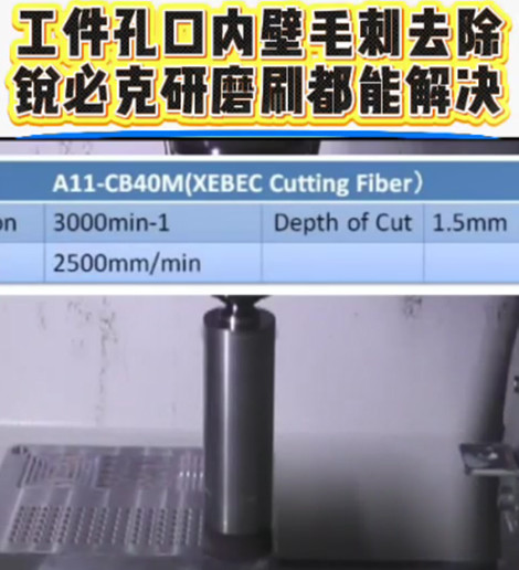 锐必克研磨刷