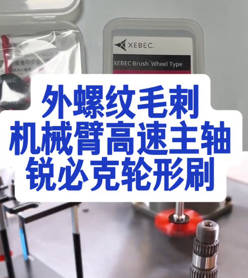 锐必克轮形刷