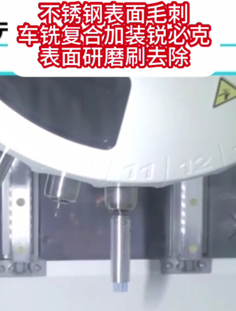锐必克表面研磨刷