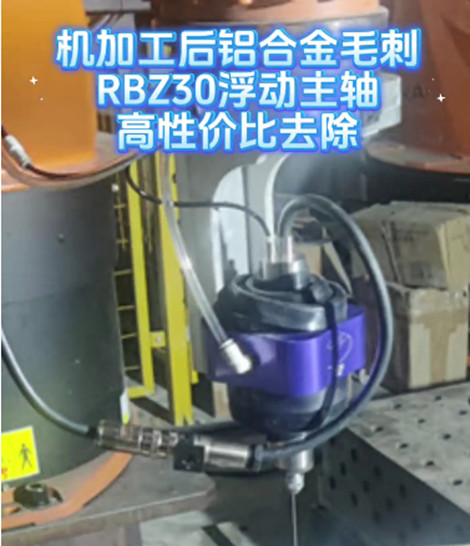 RBZ30浮动主轴