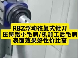 RBZ浮动往复式锉刀,压铸铝小毛刺/机加工后毛刺,表面效果好性价比高