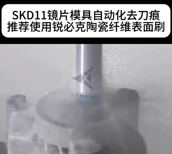 锐必克表面研磨刷