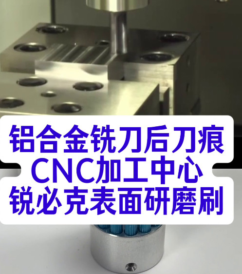 锐必克表面研磨刷
