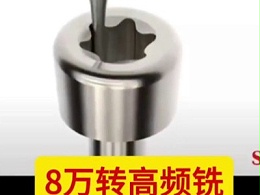 8万转高频铣,6瓣骨钉梅花,装津上BO205背轴