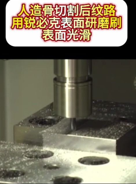 锐必克研磨刷