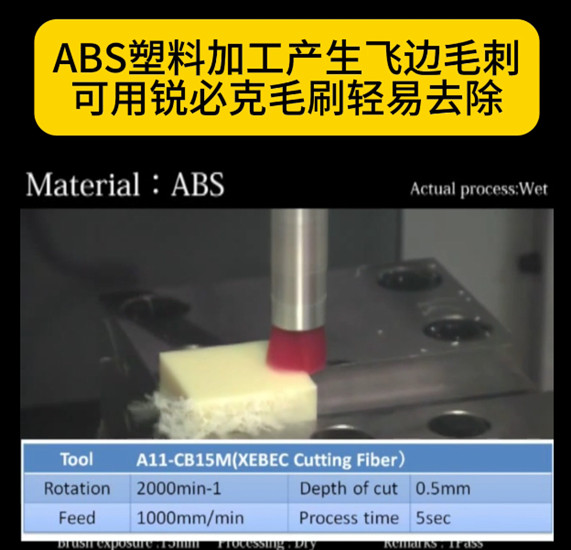 锐必克陶瓷研磨刷