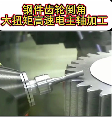 大扭矩高速电主轴