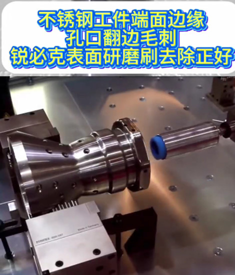 锐必克研磨刷