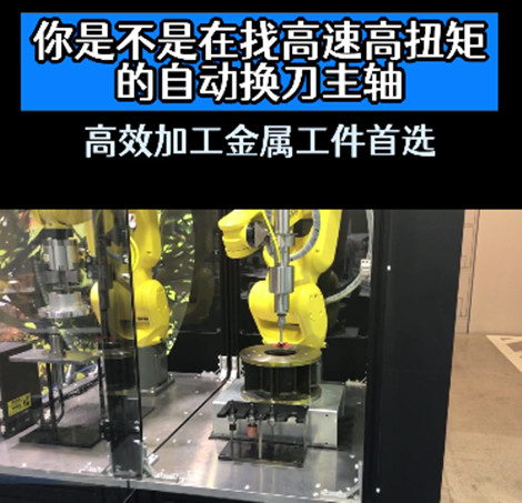 大扭矩高速电主轴
