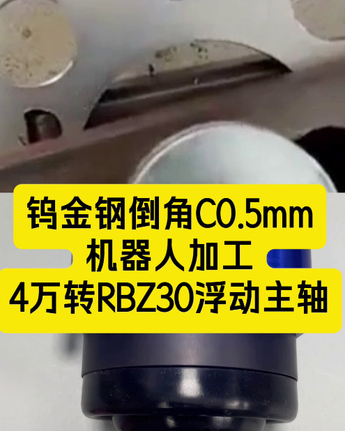 RBZ-30浮动主轴