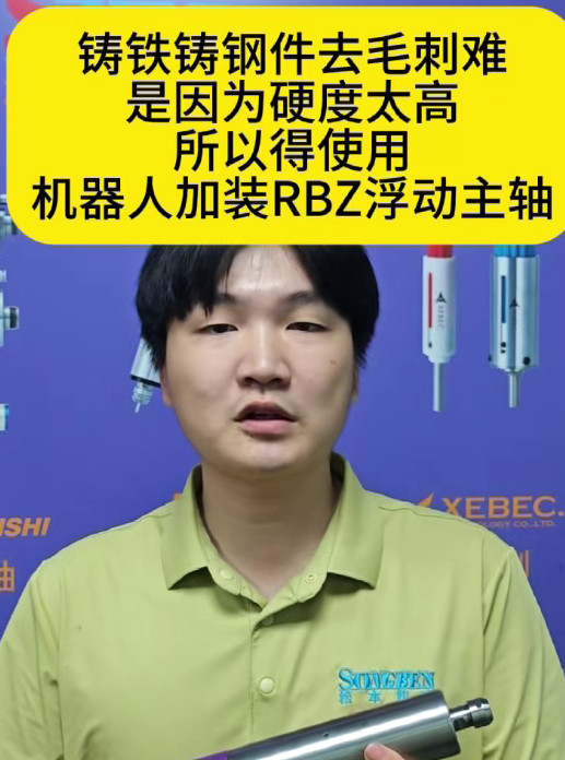 RBZ浮动主轴