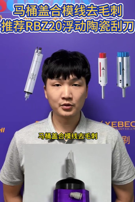 RBZ20浮动刮刀